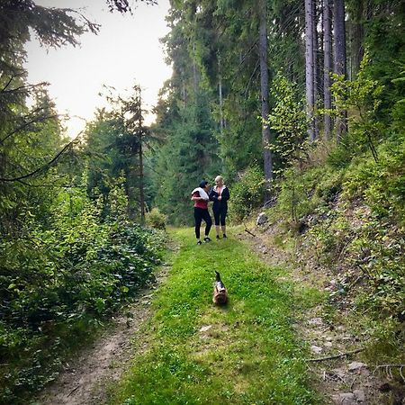 Cottage Lavanda Окремий Котедж З Каміном Bukovel Eksteriør billede