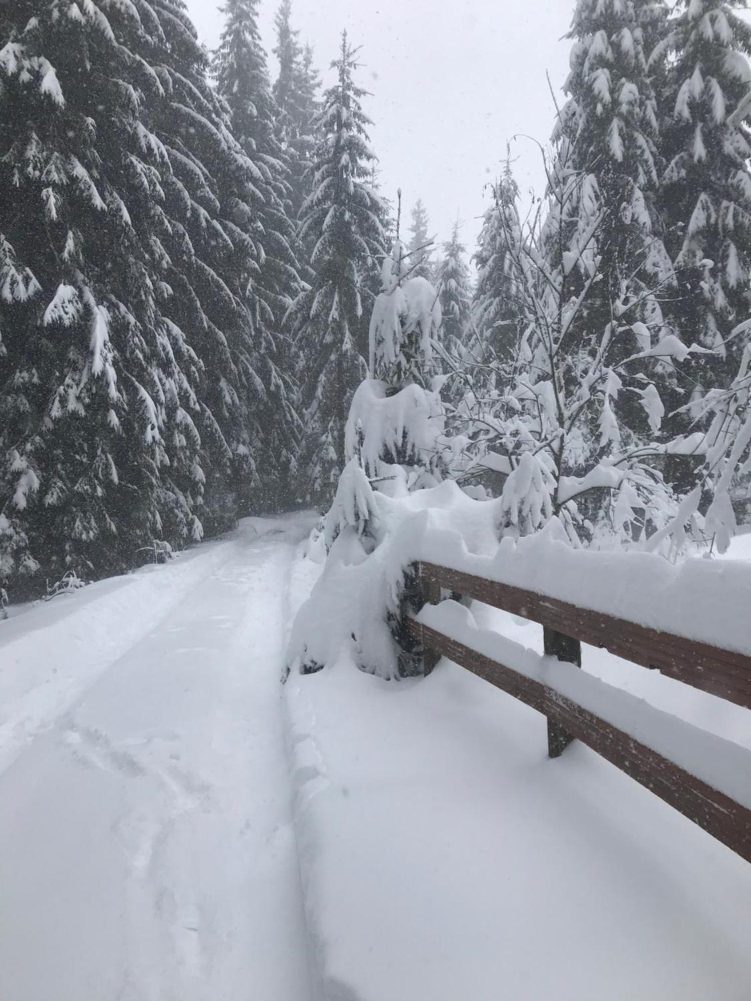 Cottage Lavanda Окремий Котедж З Каміном Bukovel Eksteriør billede