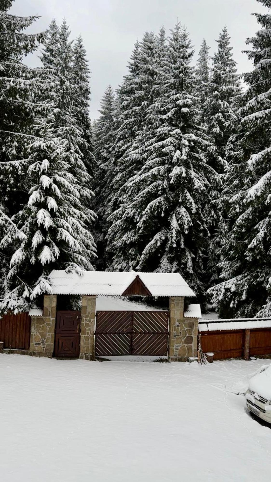 Cottage Lavanda Окремий Котедж З Каміном Bukovel Eksteriør billede